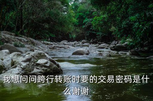 我想問問跨行轉(zhuǎn)賬時(shí)要的交易密碼是什么謝謝