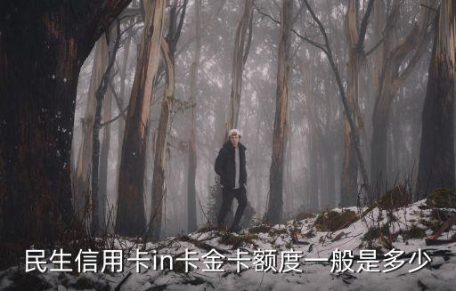 民生金卡最高上限多少，民生信用卡in卡金卡額度一般是多少