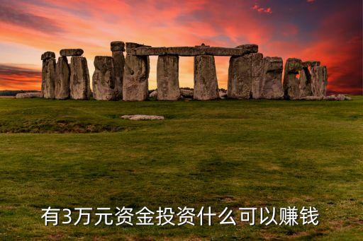 有3萬元資金投資什么可以賺錢