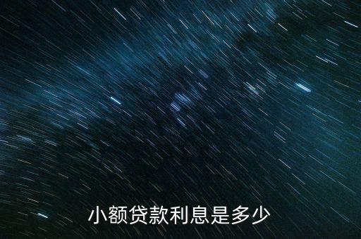 小額貸款利息是多少