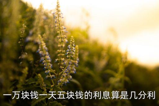 一萬塊錢一天五塊錢的利息算是幾分利