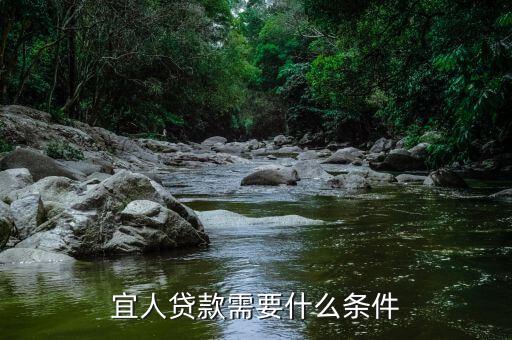 宜人貸款需要什么條件
