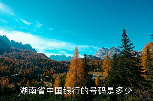 湖南省中國銀行的號碼是多少