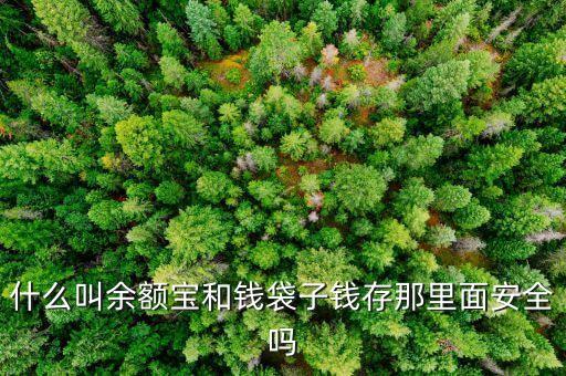 什么叫余額寶和錢袋子錢存那里面安全嗎