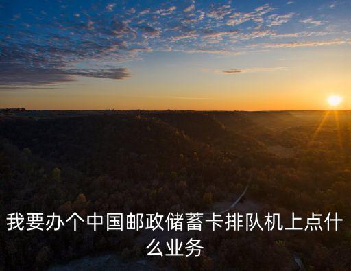 我要辦個中國郵政儲蓄卡排隊機上點什么業(yè)務