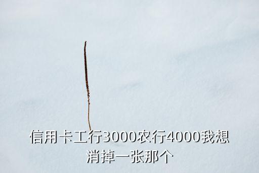 信用卡工行3000農(nóng)行4000我想消掉一張那個