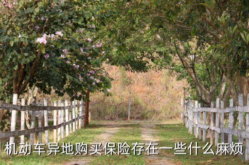 機(jī)動(dòng)車異地購買保險(xiǎn)存在一些什么麻煩