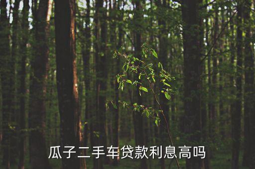 瓜子網(wǎng)貸款利息是多少，瓜子網(wǎng)貸款的還款利率怎么樣高嗎