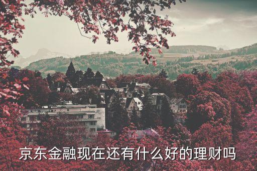 京東有什么理財(cái)產(chǎn)品，京東金融現(xiàn)在還有什么好的理財(cái)嗎