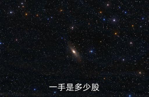一手是多少股