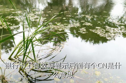 cn卡號(hào)是什么意思，工商銀行卡面 1249 CN是什么意思