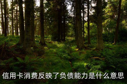 信用卡負(fù)債率什么意思，信用卡負(fù)債是什么意思