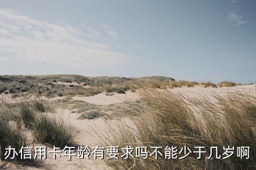 辦信用卡年齡有要求嗎不能少于幾歲啊