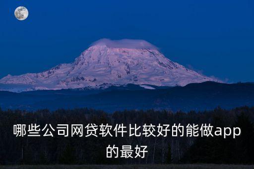 哪些公司網(wǎng)貸軟件比較好的能做app的最好