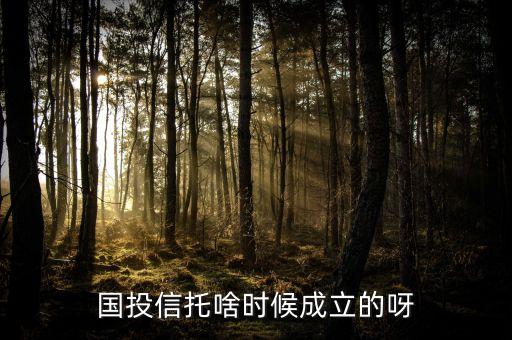 國投信托啥時(shí)候成立的呀
