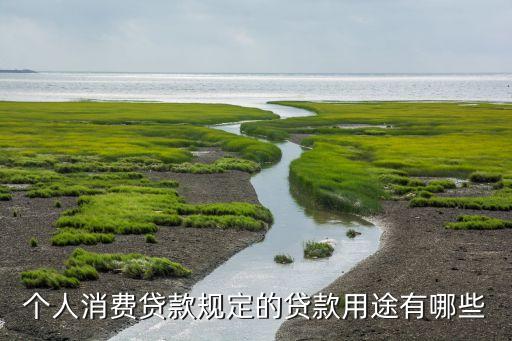 消費貸款用途填什么，個人綜合消費貸款用途的規(guī)定有哪些