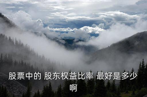 股票中的 股東權(quán)益比率 最好是多少啊