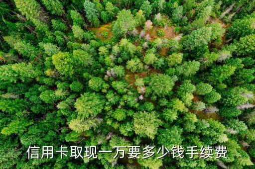 信用卡取現(xiàn)一萬要多少錢手續(xù)費(fèi)