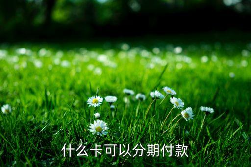 分期付款需要什么卡，分期付款用什么卡