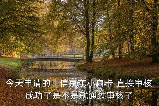 今天申請(qǐng)的中信京東小白卡 直接審核成功了是不是就通過(guò)審核了
