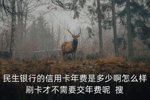 民生銀行的信用卡年費是多少啊怎么樣刷卡才不需要交年費呢  搜