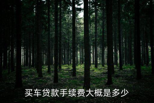 買(mǎi)車(chē)貸款手續(xù)費(fèi)大概是多少