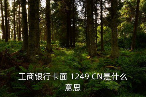 工商銀行卡面 1249 CN是什么意思