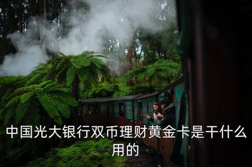 中國(guó)光大銀行雙幣理財(cái)黃金卡是干什么用的