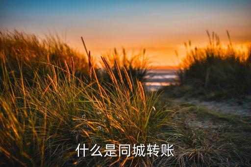 什么是同城轉(zhuǎn)賬