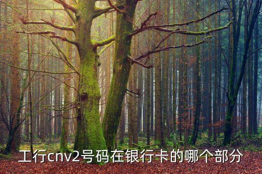 信用卡cnv2是什么，工行cnv2號(hào)碼在銀行卡的哪個(gè)部分