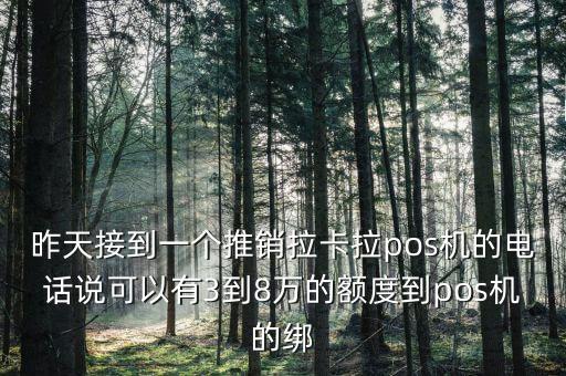 昨天接到一個(gè)推銷拉卡拉pos機(jī)的電話說可以有3到8萬(wàn)的額度到pos機(jī)的綁