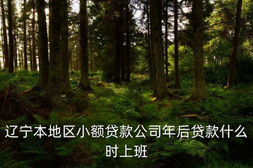 遼寧本地區(qū)小額貸款公司年后貸款什么時上班