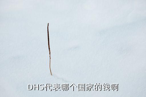 dhs是什么幣，DHS是什么貨幣單位