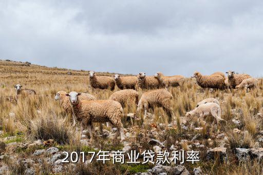 2017年商業(yè)貸款利率