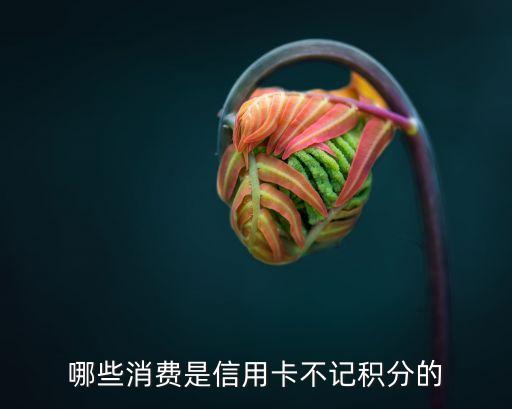 哪些消費(fèi)是信用卡不記積分的