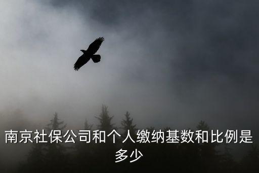 南京養(yǎng)老金比例是多少，2010南京五險(xiǎn)一金比例