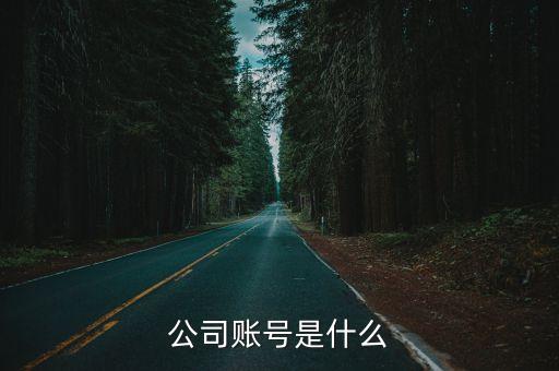 企業(yè)賬號(hào)是什么，公司賬號(hào)是什么