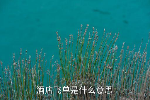 酒店飛單是什么意思