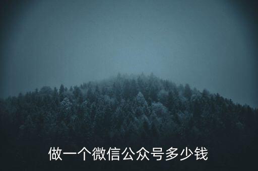 熊貓金庫(kù)公眾號(hào)是多少錢(qián)，做一個(gè)微信公眾號(hào)多少錢(qián)