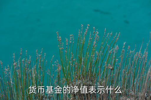 貨幣基金的凈值表示什么