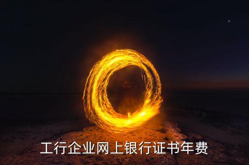工行企業(yè)網(wǎng)上銀行證書年費(fèi)