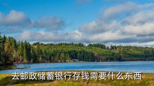去郵政儲(chǔ)蓄銀行存錢需要什么東西