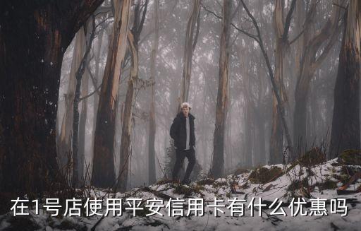 在1號(hào)店使用平安信用卡有什么優(yōu)惠嗎
