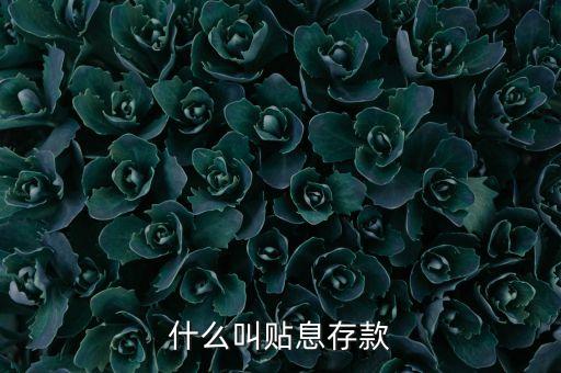 什么叫貼息存款