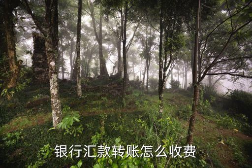 銀行匯款轉(zhuǎn)賬怎么收費