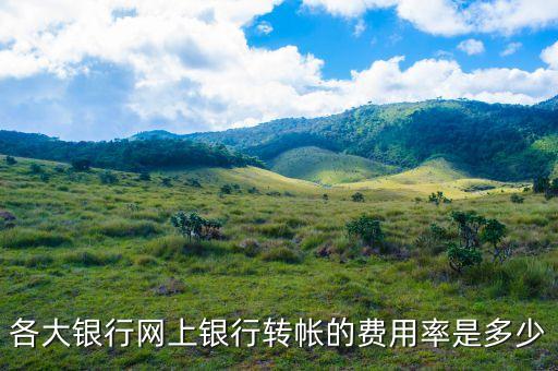 各大銀行網(wǎng)上銀行轉(zhuǎn)帳的費(fèi)用率是多少