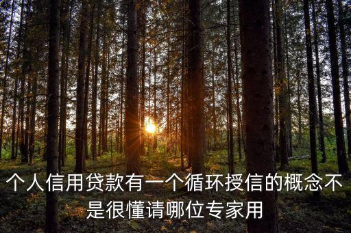 個(gè)人信用貸款有一個(gè)循環(huán)授信的概念不是很懂請(qǐng)哪位專家用