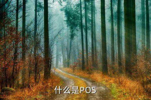 什么是POS