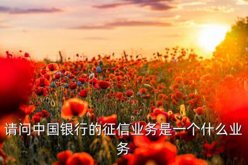 請問中國銀行的征信業(yè)務(wù)是一個(gè)什么業(yè)務(wù)