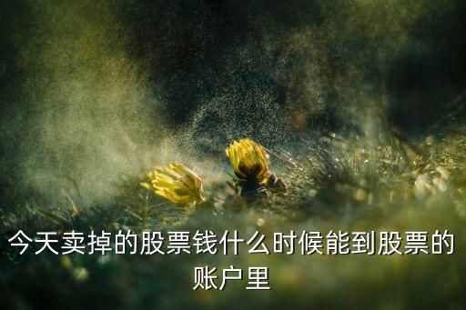 今天賣掉的股票錢什么時(shí)候能到股票的賬戶里